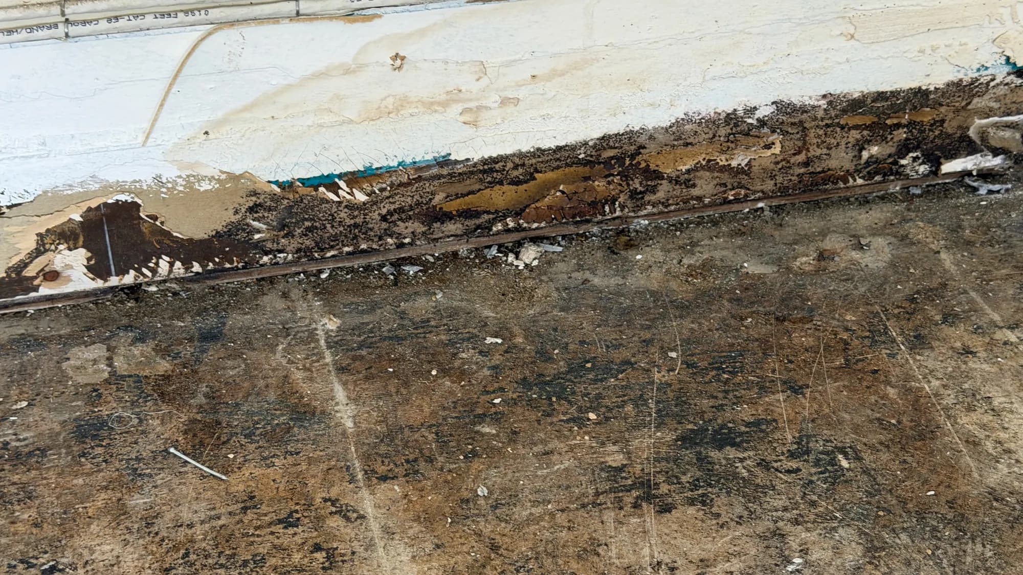 Old flooring pulled up to reveal mold and staining along the baseboard