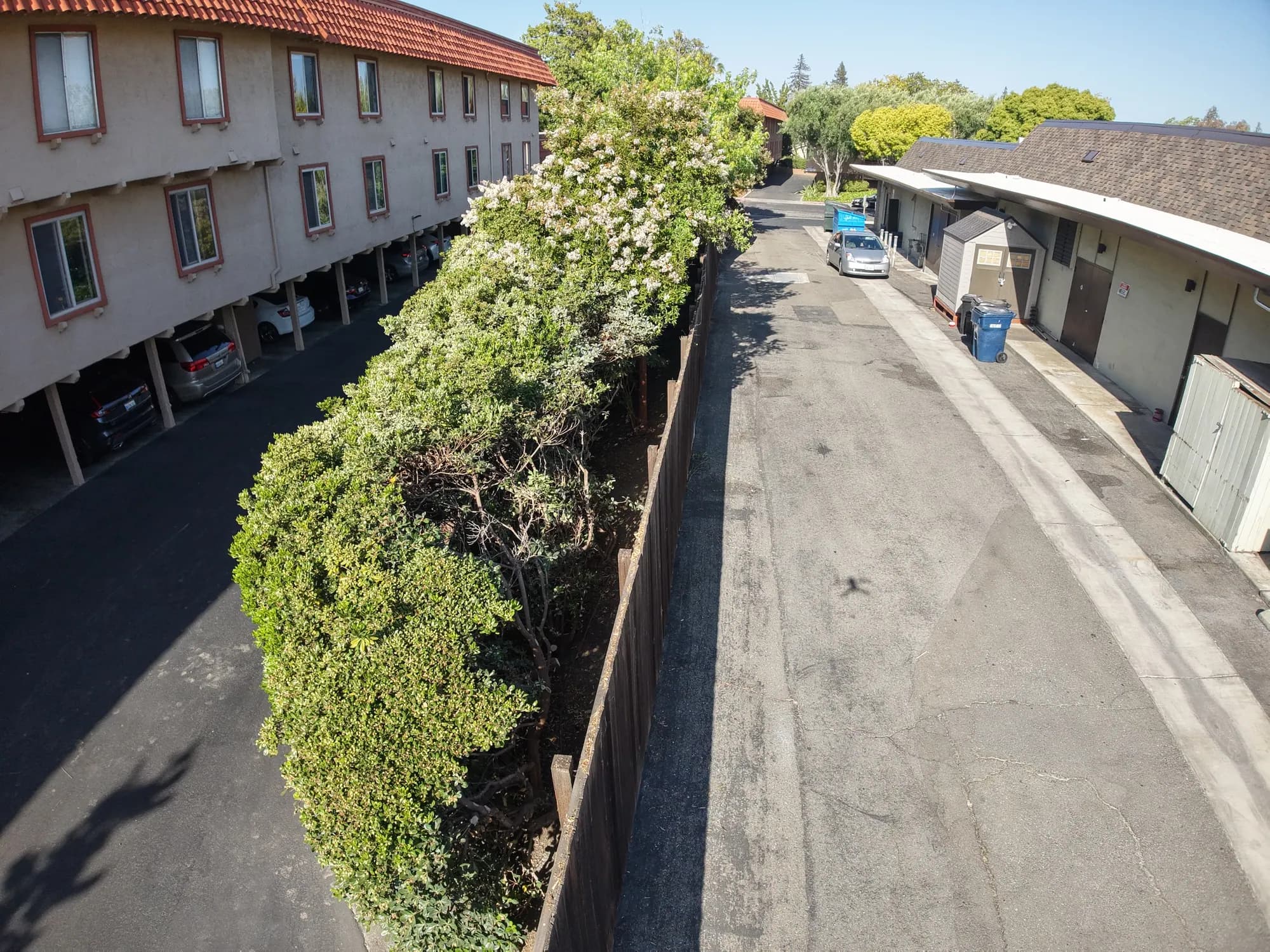 New perimeter fence along the rear drive, seen from above, with flowering trees