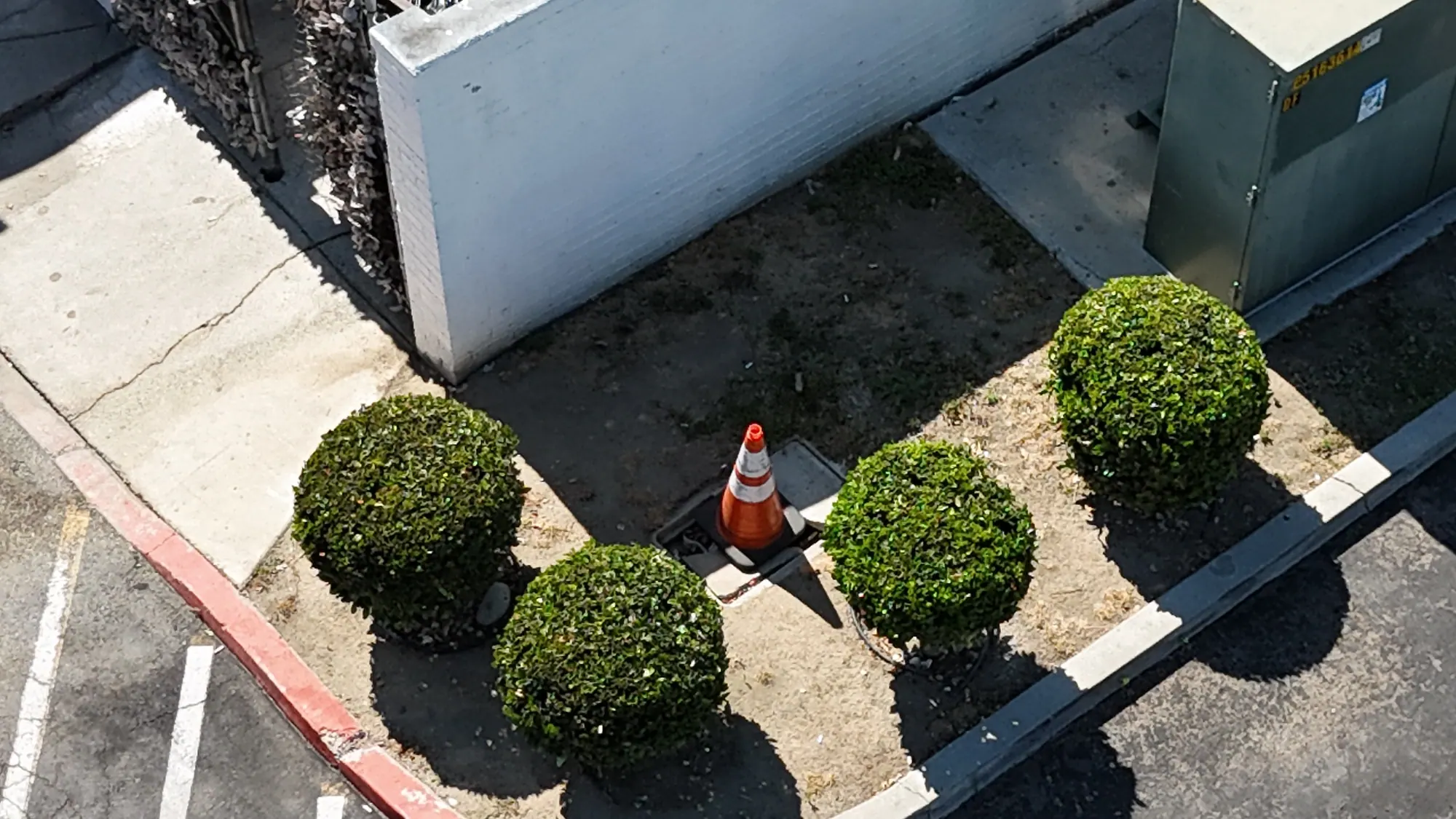 Clipped shrubs in a planter at the corner of the retail building