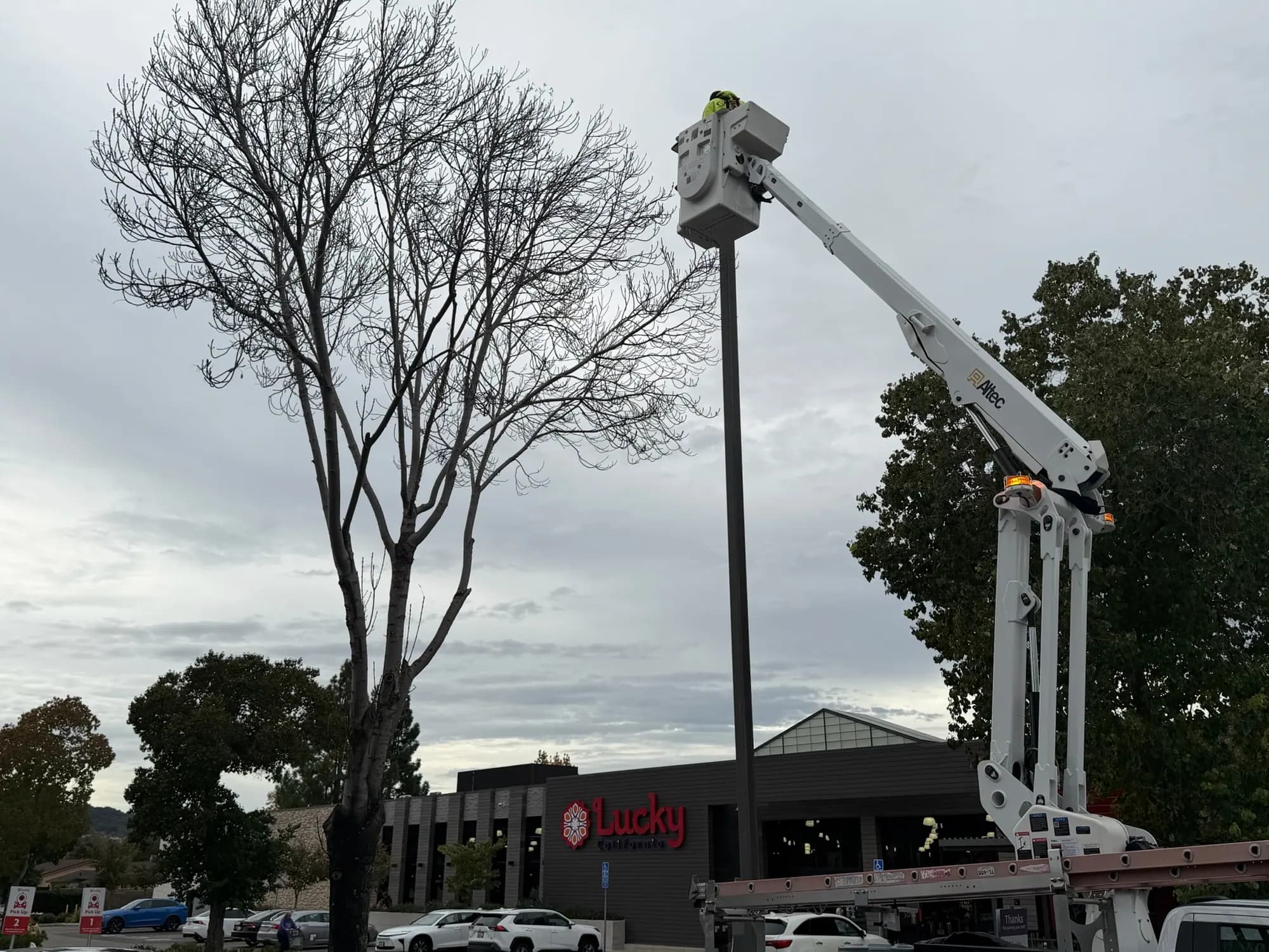 Bucket truck raised to a parking-lot light pole for a repair